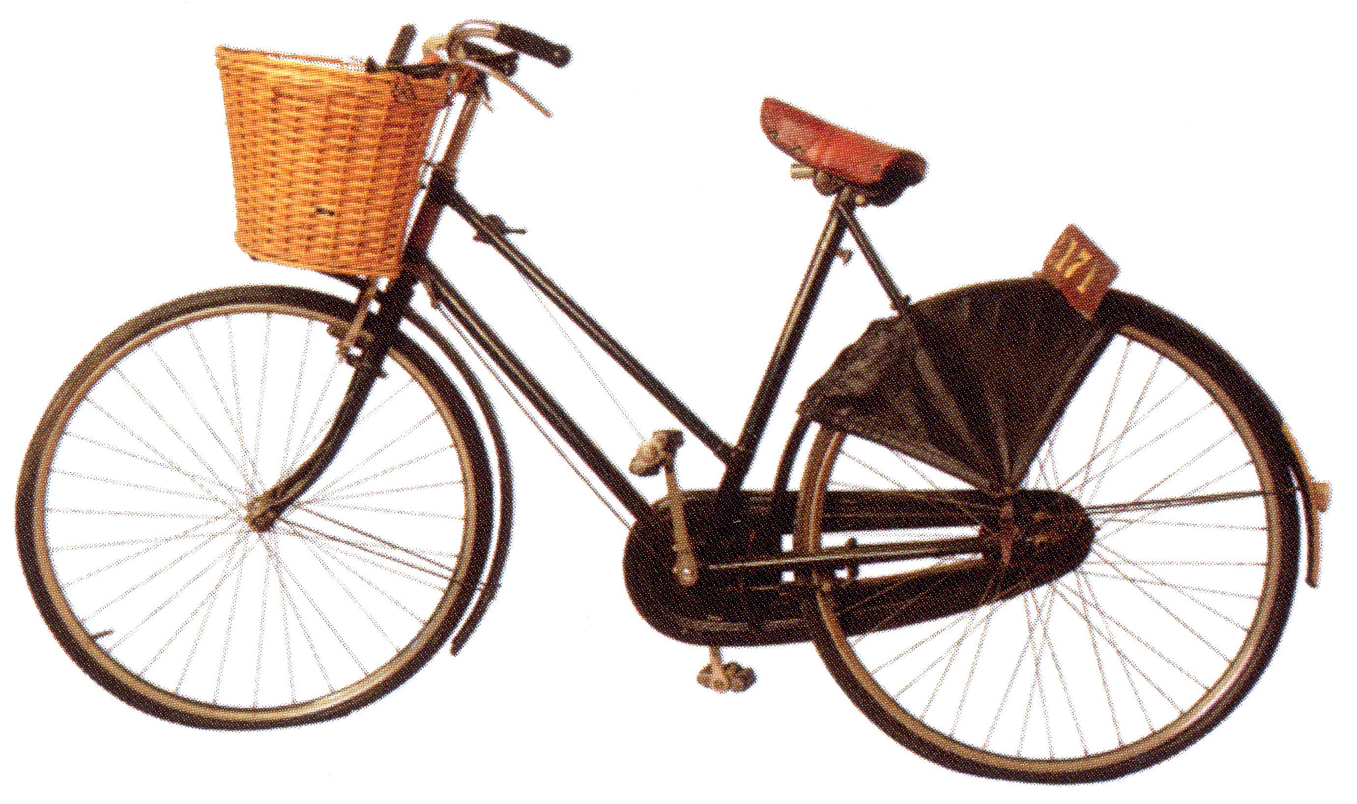 Mary Peabody's Bicycle